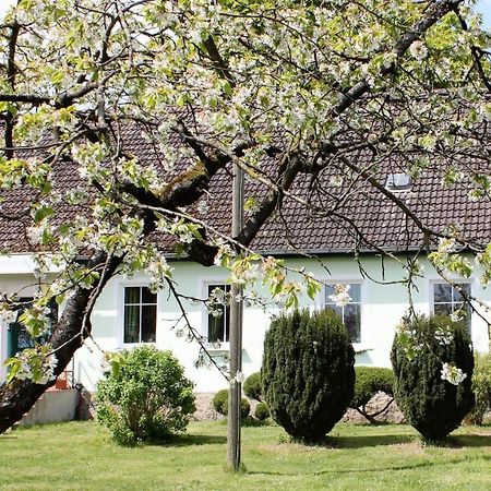 Pension Gestuet Lindenhof Templin Bagian luar foto
