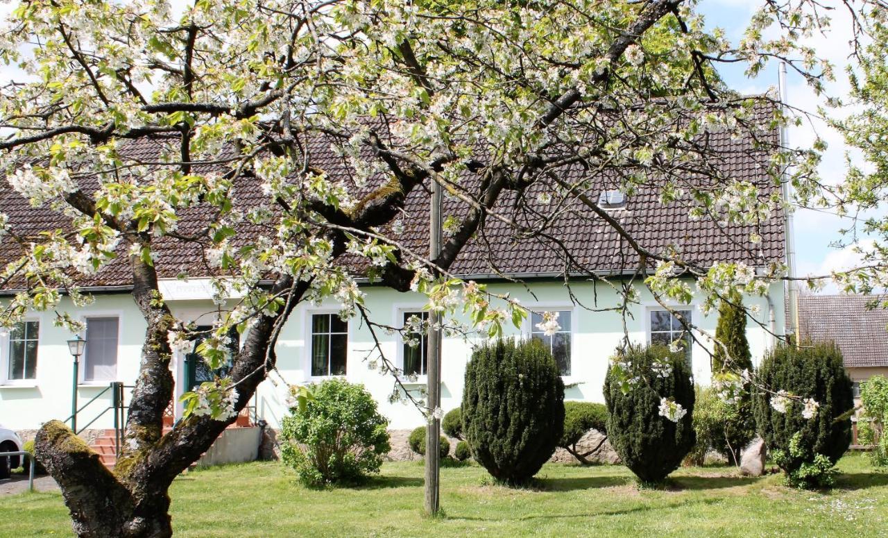 Pension Gestuet Lindenhof Templin Bagian luar foto