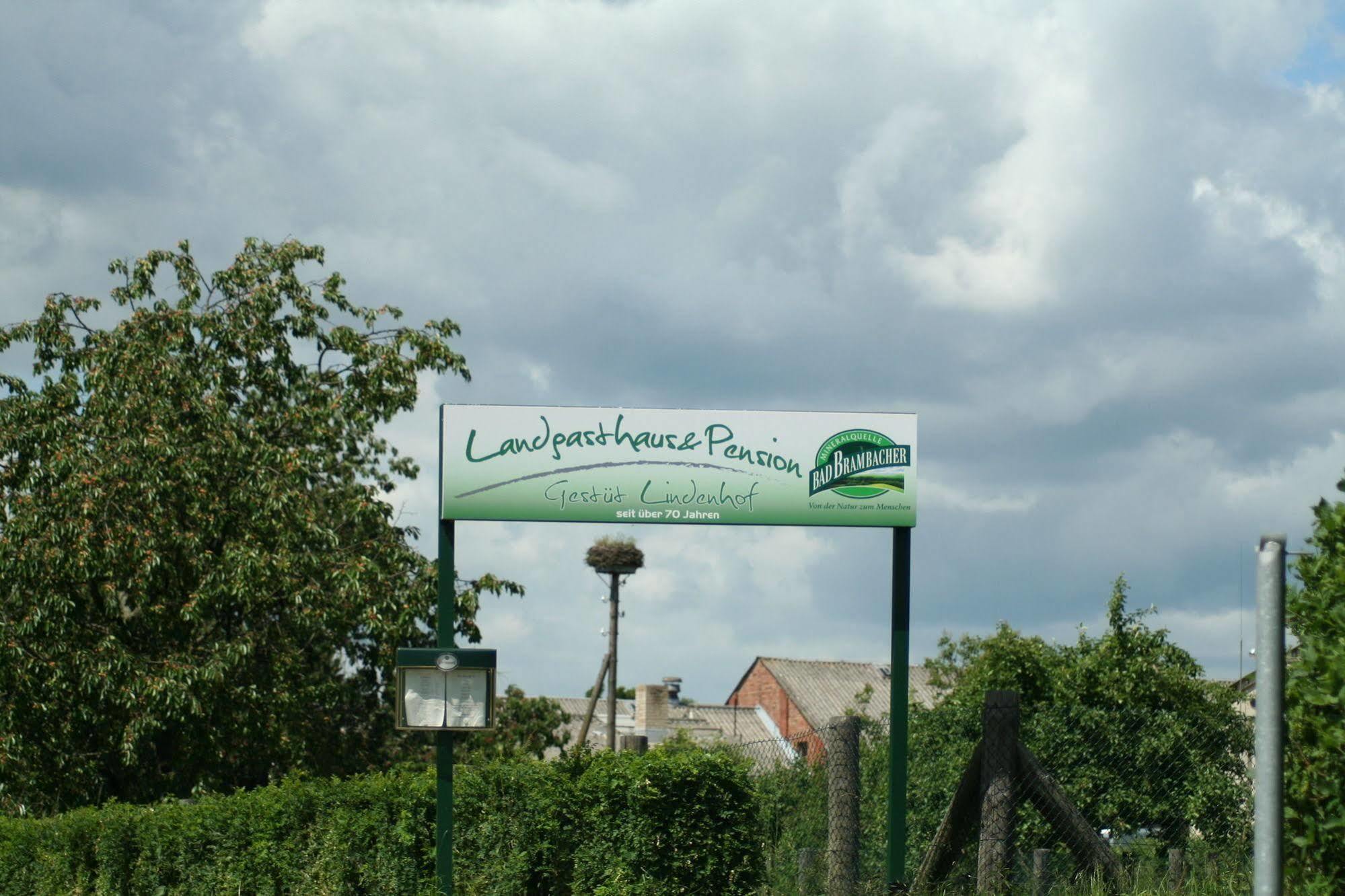 Pension Gestuet Lindenhof Templin Bagian luar foto